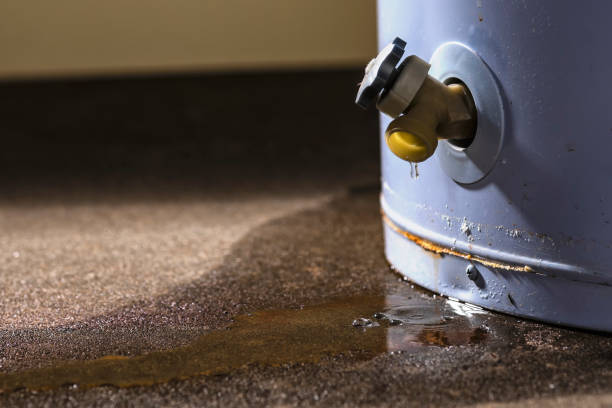 Best Ceiling water damage repair  in Fountainhead Orchard Hills, MD