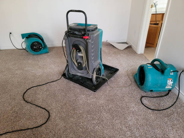 Best Flooded house restoration  in Fountainhead Orchard Hills, MD