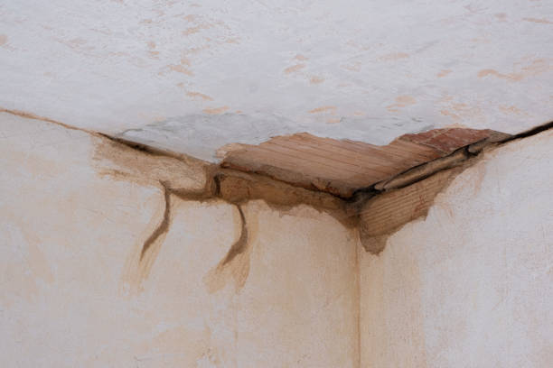 Best Water damage restoration near me  in Fountainhead Orchard Hills, MD