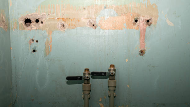 Water damage restoration mold remediation in Fountainhead Orchard Hills, MD
