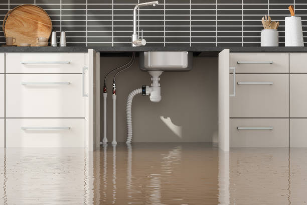Best 24/7 water damage repair  in Fountainhead Orchard Hills, MD