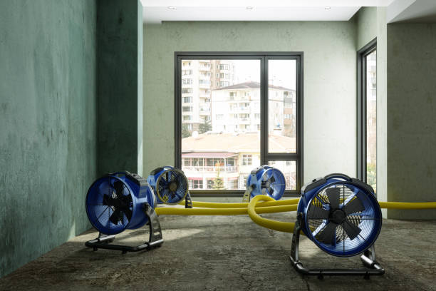 Best Sewage cleanup and water damage restoration  in Fountainhead Orchard Hills, MD