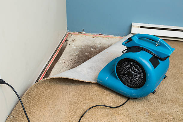 Best Carpet water damage restoration  in Fountainhead Orchard Hills, MD